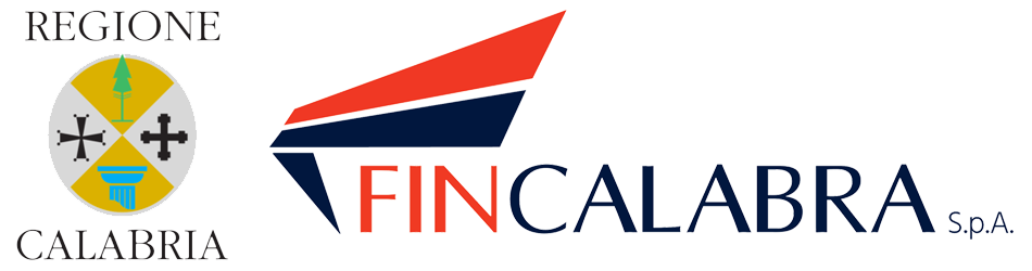 Check-List Zone di Accelerazione GSE